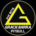 Pitbull Gracie Barra